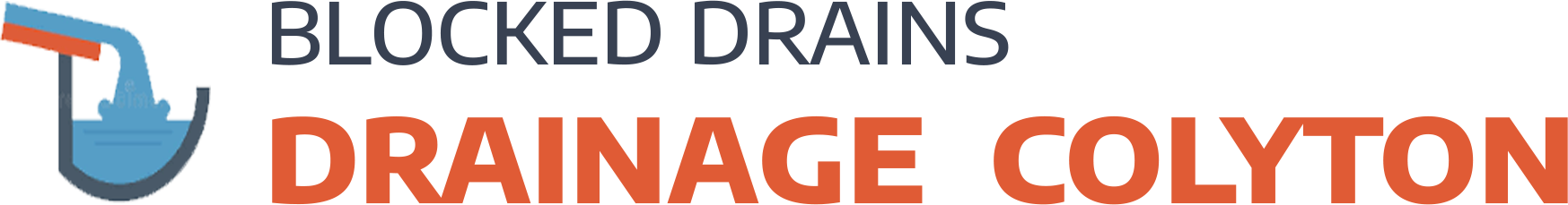 website logo